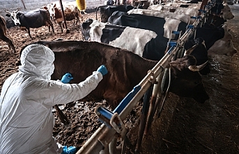 İkinci tur aşılama yapılıyor