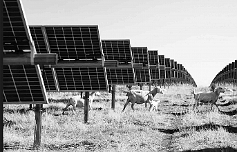 ‘Yağmalama girişimi’