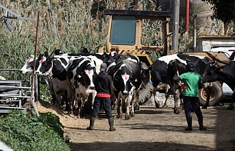 Devlete meydan okuma