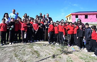 Güzel bir işbirliği