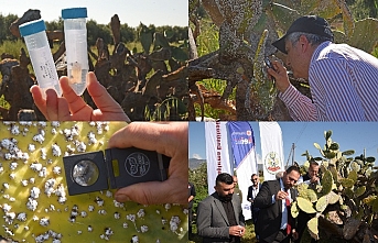 ‘Biyolojik mücadele’