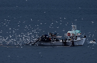 ‘Yok hükmünde’