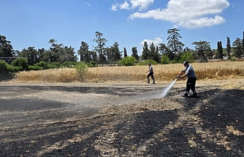 Büyük zarar