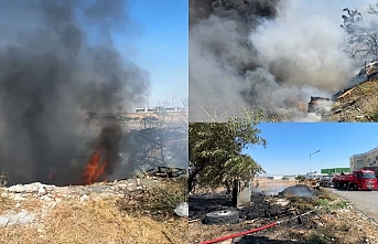 Büyümeden söndürüldü