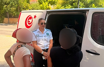 Devamı gelecek