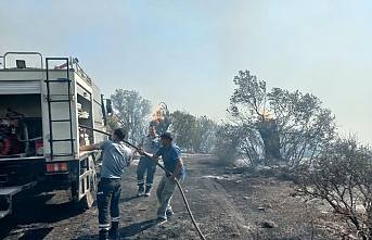 83 milyonu aştı