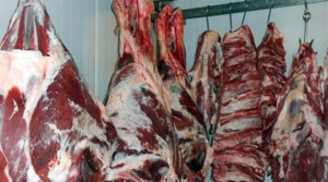 250 kilo et imha edildi