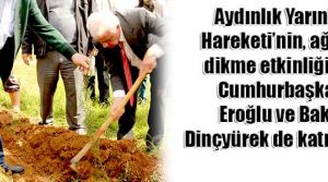 Bir araba için 14 fidan