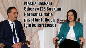 Birlikten güzellik doğacak