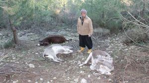 Bu nasıl isnanlık?