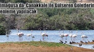 Çehresi değişecek