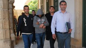 Denize düşen yılana sarılır