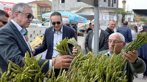 Festival bahane  Ayrelli şahane