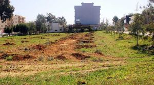 Fidanlar başka yere taşındı