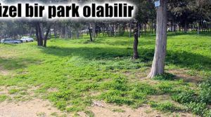 ‘Çamlık’ bölgesi, kendi kaderine terkedildi