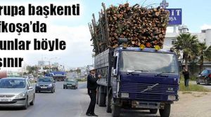 Görenler hayretle izledi
