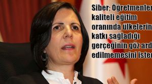 İşlevleri yadsınamaz