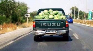 Karpuzlar nereye?