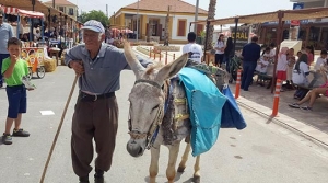 Pansiyonculuk  teşvik edilmeli