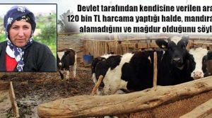 Paralar boşa gitti