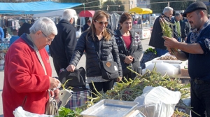 Sağlıklı beslenmenin tam zamanı