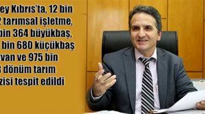 Tarımın fotoğrafı