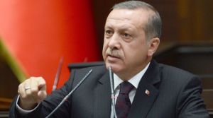Tepki koymalı