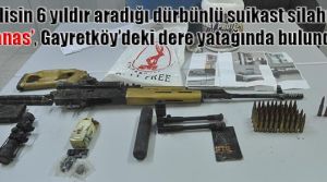 Ülkeye nasıl girdi?