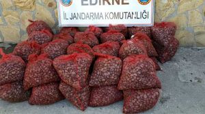 Yeni rant kapısı