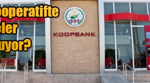 Yönetim derhal görevden alınmalıdır
