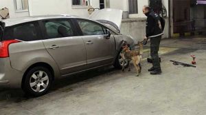 Zehir yüklü otomobiller