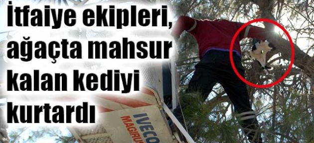 Tüm mahalle alkışladı