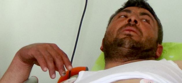 Vahşi hayvan