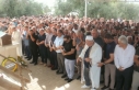 Karpaz ağladı