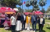 Anlamlı etkinlik