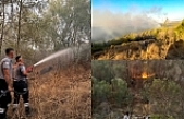 Ağaçlar zarar gördü