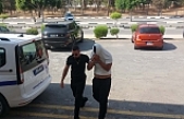 Aile şokta