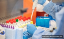7 günde kuzeyde 295, güneyde 16 bin test