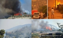 Vatan düşmanları