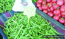 Fasulye zam şampiyonu