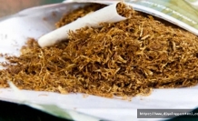 İkisi Kıbrıslı Türk