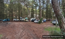 Patika: Ormanlar nefes alanlarımızdır, gelir kapısı değil