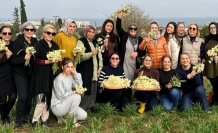 Geliri bağışlanacak