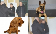 Lokum ve Pamir geçit vermedi