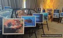 Sualtı dünyasını yansıtıyor