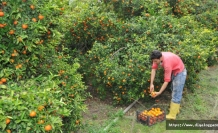 Yeni tarife açıklandı