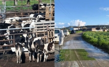 Üreticiler tazmin edilecek