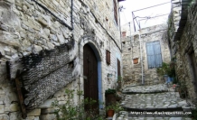 100 tanesi Türk malı