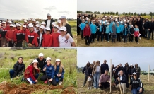 ‘Yeniden Yeşil Kıbrıs’