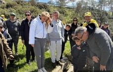 Tarih, kültür, doğa